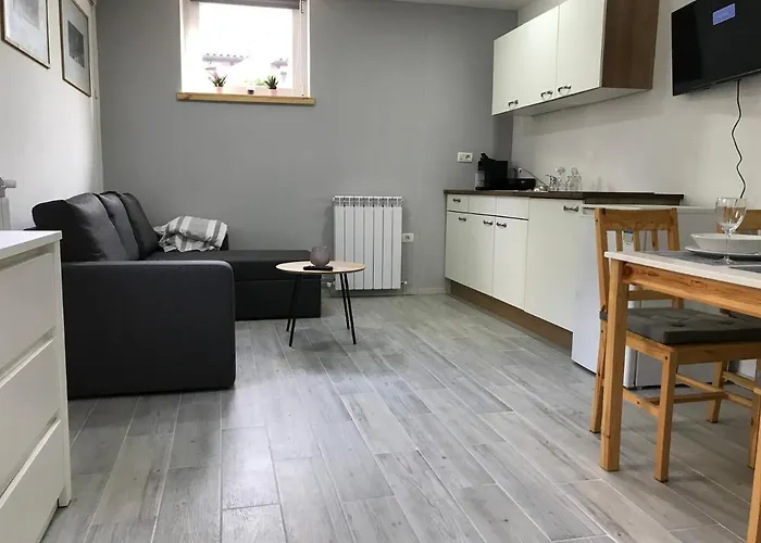 Apartment Portorose 公寓 波尔托罗